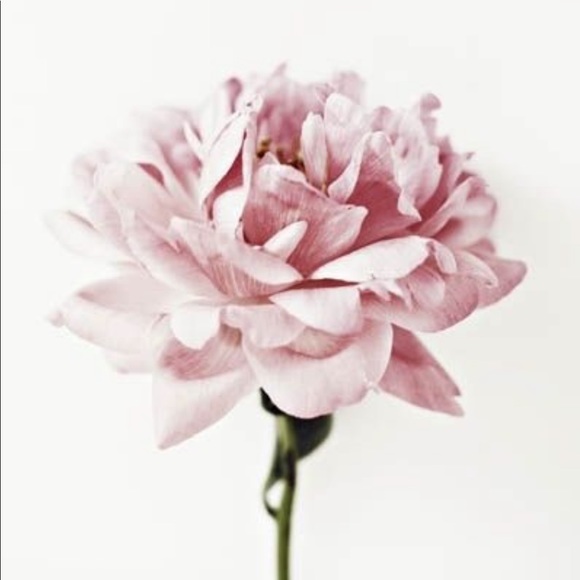 Meet your Posher, G - Picture 1 of 1